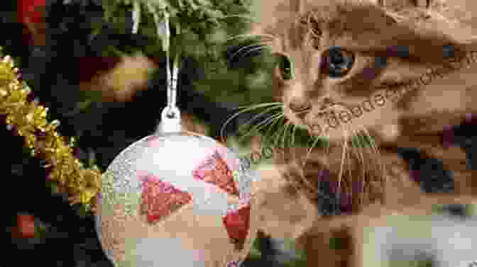 A Group Of Kittens Playing With Christmas Ornaments Kitten Love: The Trilogy Ariele M Huff