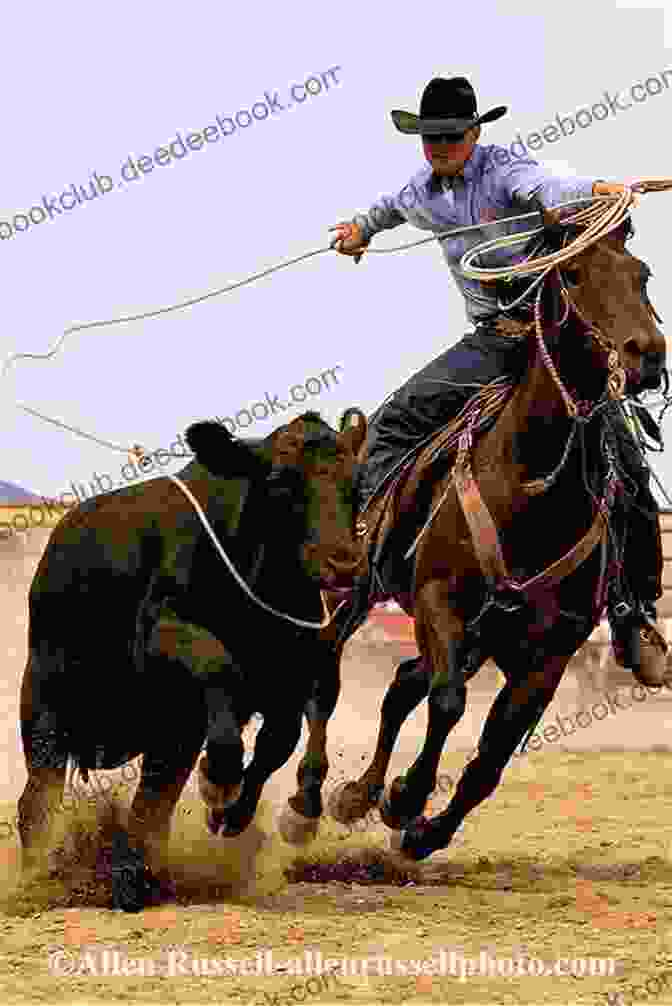 Cowboys Roping A Steer On A Ranch In The West The Unvarnished West : Ranching As I Found It