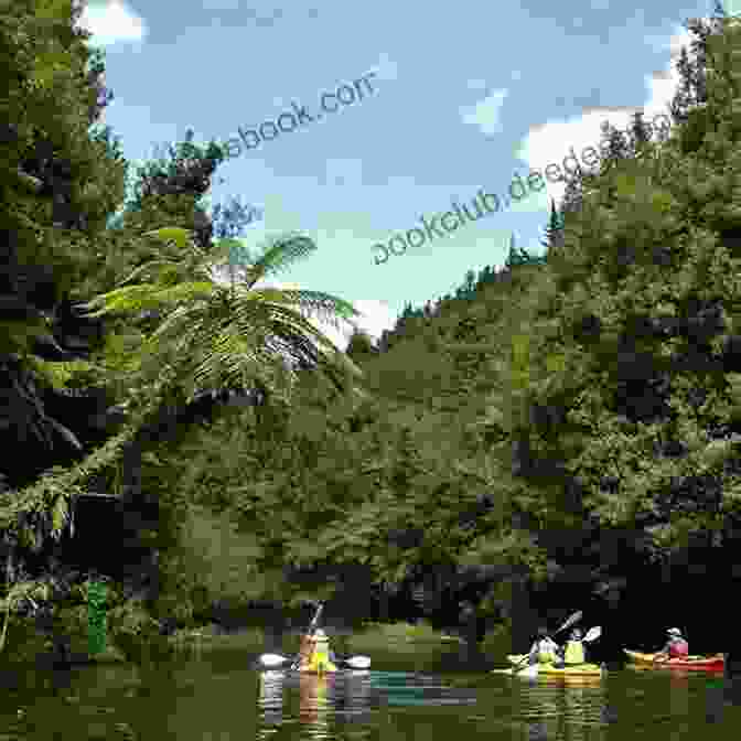 Kayaking In The Bay Of Plenty Best Of VJMP 2024 New Zealand Edition: The 64 Best New Zealand Focused Essays And Articles From VJM Publishing During 2024