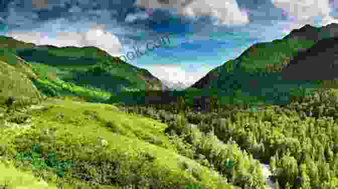 Panoramic View Of Rolling Hills, Lush Forests, And Shimmering Rivers Hello World : Happy County 1