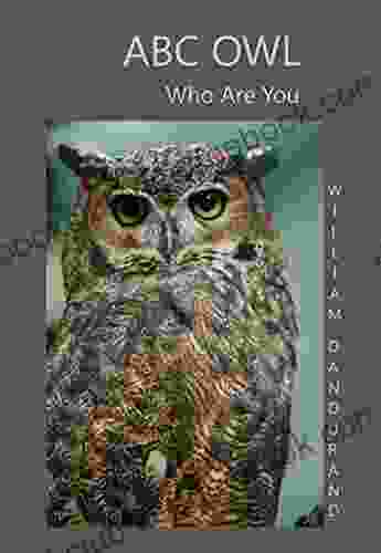 ABC Owl: Who Are You