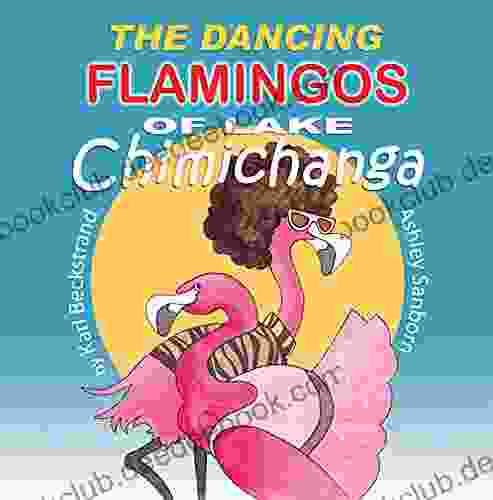 The Dancing Flamingos Of Lake Chimichanga: Silly Birds (Food For Kids 2)