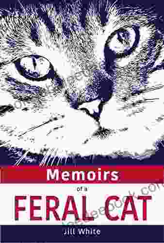 Memoirs Of A Feral Cat: A Curious Tail