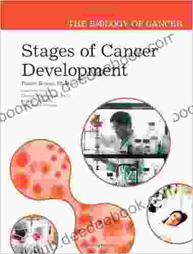 Stages Of Cancer Development (Biology Of Cancer)
