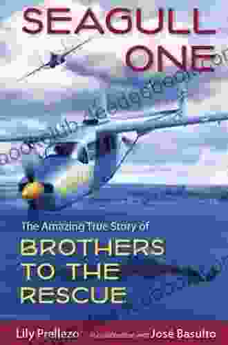 Seagull One: The Amazing True Story Of Brothers To The Rescue