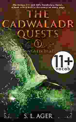 The Cadwaladr Quests (Book One: Tangled Time): 11+ Vocabulary