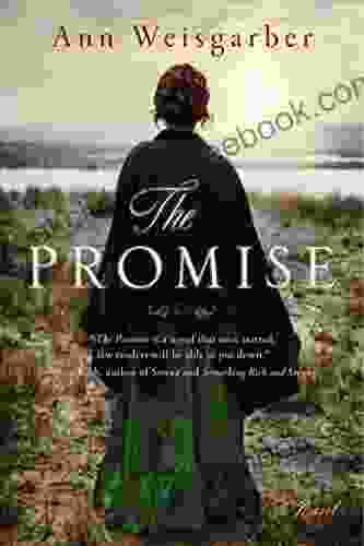 The Promise: A Novel Ann Weisgarber